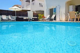 Villa Palm - 1