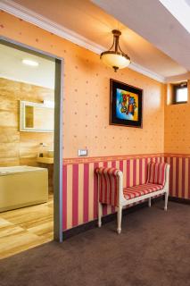 Hotel Roman by Dumbrava Business Resort - 2