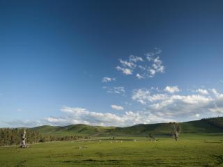 Curringa Farm - 4