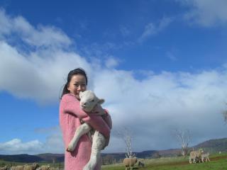 Curringa Farm - 1