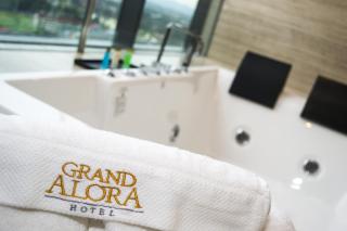Grand Alora Hotel - Alor Setar - 6