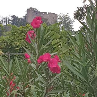 les chambres de Mélis - Crémieu - 5