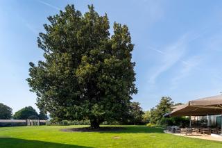 Hotel Villa I Pini - Malo - 6