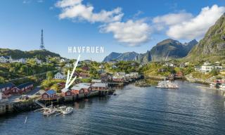 Rorbua Havfruen - Sørvågen - 0