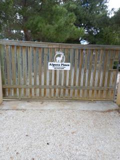 Alpaca Self Catering Cottage Kleinmond - 1