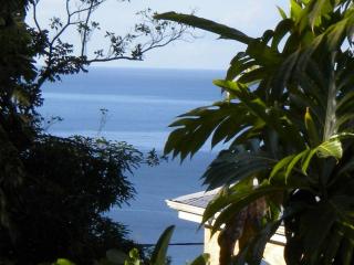 GWAN THAZAR en Guadeloupe - Bouillante - 0
