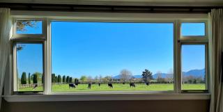 Okauia House, Matamata - Matamata - 1