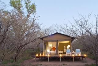 Ngama Tented Safari Lodge - Guernsey Nature Reserve - 0
