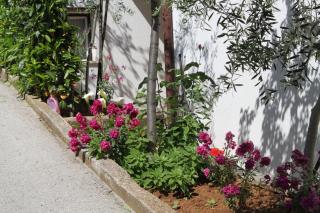 Apartments with parking space Pula - 7647 - 3