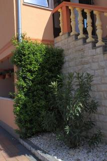 Apartments with parking space Valbandon, Fazana - 2214 - Fondole - 2