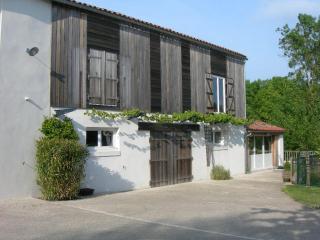 Gîte charmant au bord de l'eau avec canoës, terrasse et jardin à Damvix, au cœur du Marais Poitevin. - FR-1-426-354 - Damvix - 8
