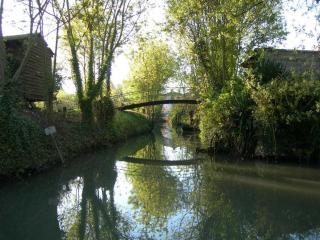 Gîte charmant au bord de l'eau avec canoës, terrasse et jardin à Damvix, au cœur du Marais Poitevin. - FR-1-426-354 - 6