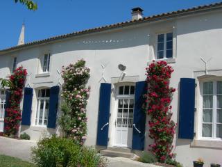 Maison au cœur du Marais Poitevin avec barques, canoës, pédalo et vélos включены - FR-1-426-147 - Damvix - 3