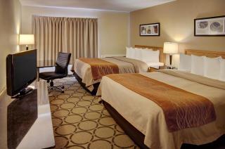 Comfort Inn - Truro - 7