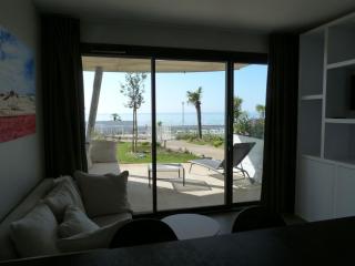 Appartement 1 chambre mer, plage, piscine, parking, clim, animaux admis - FR-1-194-216 - 2