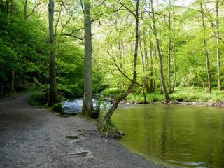 Hotel Heiderhof - Obersteinebach - 7