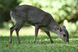 Reilly's Rock Hilltop Lodge - 5