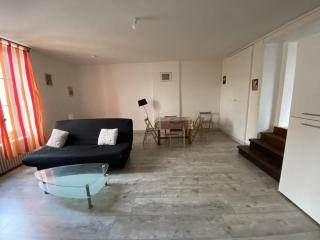Appartement 57m² avec WIFI à 200m des Thermes – 4 pers. – Parking gratuit – La Roche-Posay - FR-1-541-40 - La Roche-Posay - 8