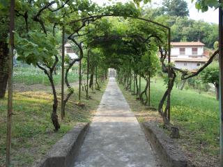 Il Tiglio - Cavagnolo - 2