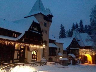 Complex La Tunuri - Vila Economat - Sinaia - 8