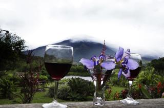 Colinas del Miravalles Hotel & Hot Springs - Guayabos - 4