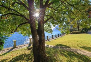 VillaRenza - Oliveto Lario - 4