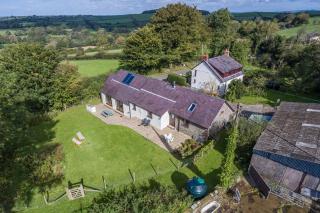 Kite Cottage - Capel-Ifan - 9