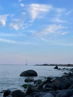 Citrus, between Etna and the Sea - Acireale - 5