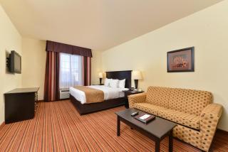 Comfort Suites Alexandria North - 9