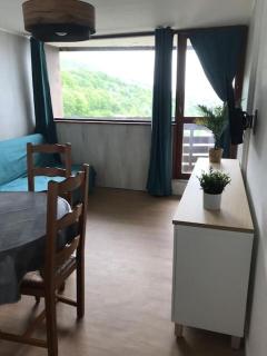 Appartement 4 pers Tour de la Biche skis aux pieds - 9