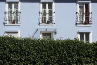 The Blue House - Erlangen - 4