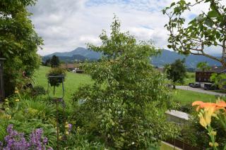 Ferienwohnung auf der sonnigen Südseite - Langenegg - 6
