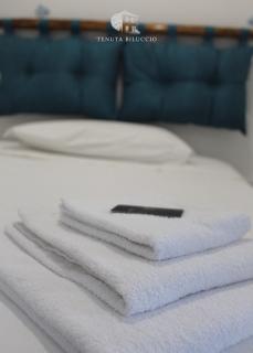 TENUTA BILUCCIO B & B - Roccadaspide - 2