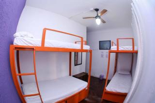 Pura Vida Hostel - 1