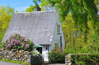 Bryn Araul - Rhydymain - 9