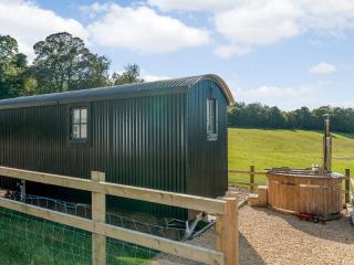 The Hut At Hole Farm - Alderbury - 5