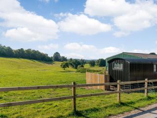 The Hut At Hole Farm - Alderbury - 4