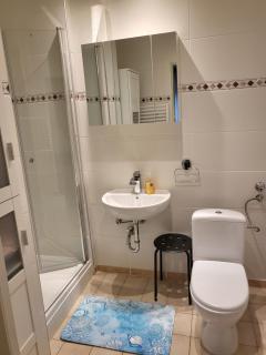 Apartment Betzenberg, nur Netflix - Kaiserslautern - 6