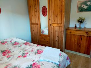 a nice room - Annemasse - 4