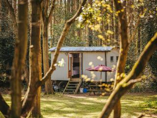 Goosewing Hut-Qu7072 - Melton Constable - 9
