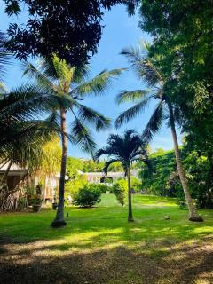 Villa Gaïa - Bungalow Ti-Zen et son jacuzzi niché dans un jardin tropical, séjour en amoureux - Le Diamant - 2