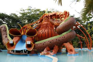 Hotel Carrizal Spa - 7