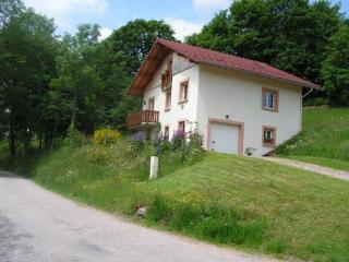 Chalet spacieux avec balcon, WiFi gratuit, proche lac et station de ski - FR-1-589-140 - 6