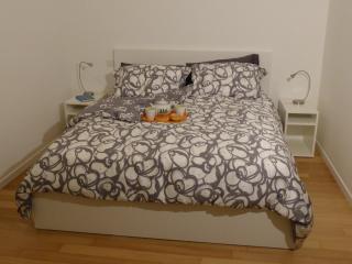 Appartamento Giulio VI - Turin - 2