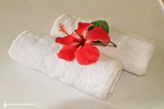 Fox & The Firefly Cottages - Loboc - 4