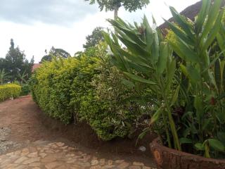 Green Homes - Mityana - 9