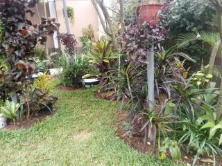 Green Homes - Mityana - 6