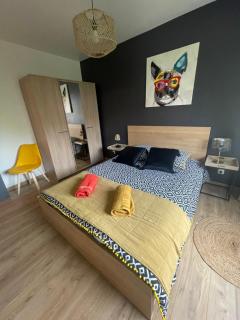 - Le refuge Colmarien - 5 personnes - Colmar - 9