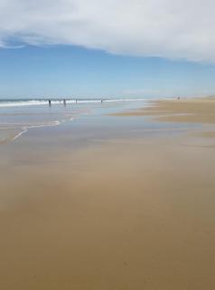 Palm Appart - Biscarrosse-Plage - 3