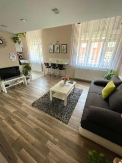 Green Island in the downtown with free parking - Debrecen - 7